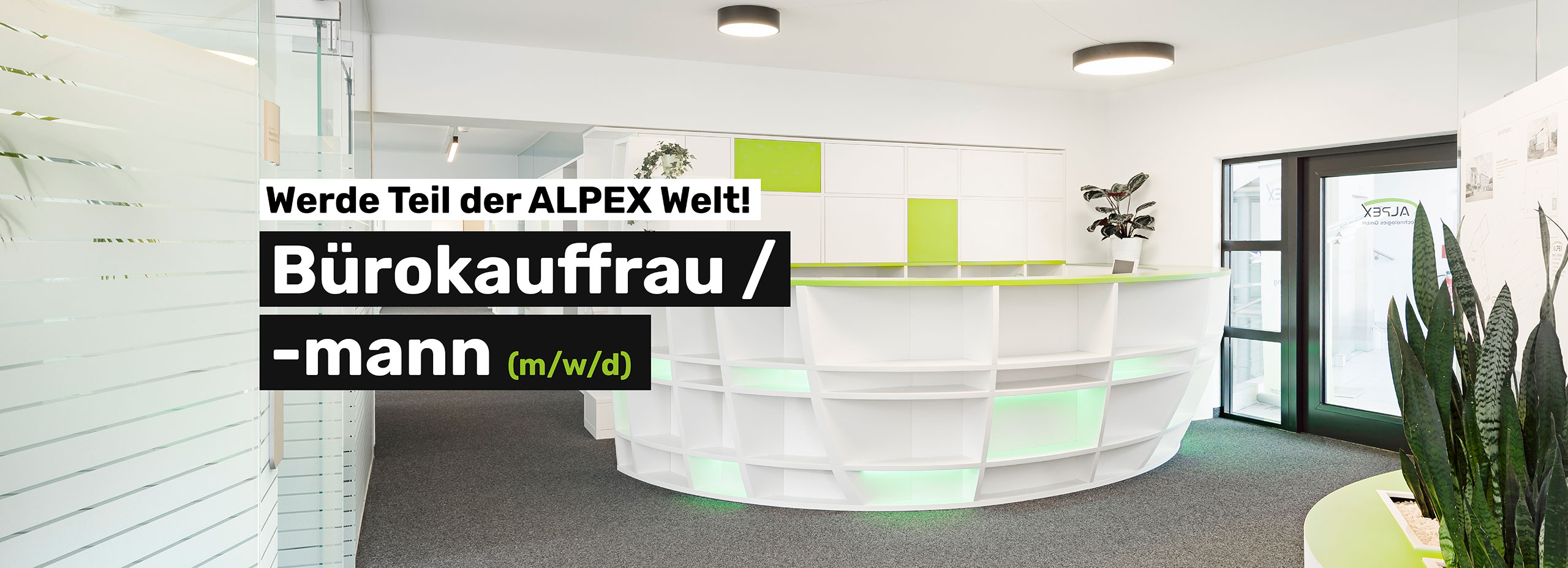 buerokauffrau-mann