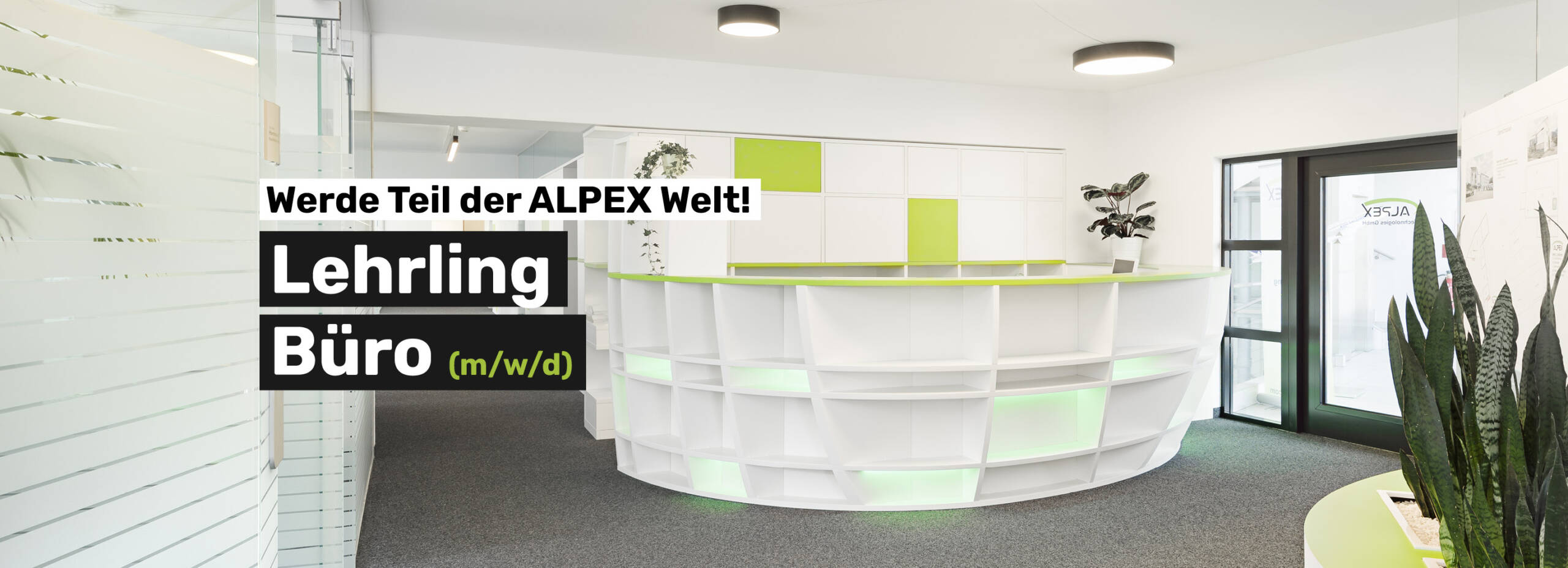 Bürolehrling-Alpex-JOB